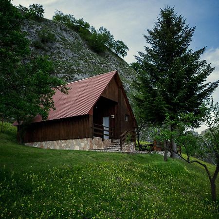 Detached House Milivoje Hotel Poscenje Bagian luar foto