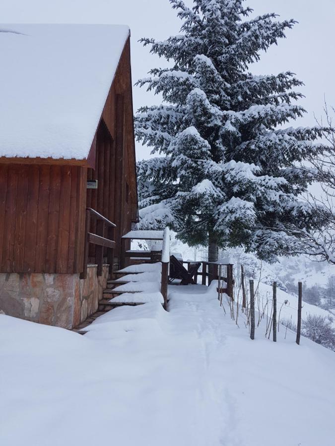 Detached House Milivoje Hotel Poscenje Bagian luar foto