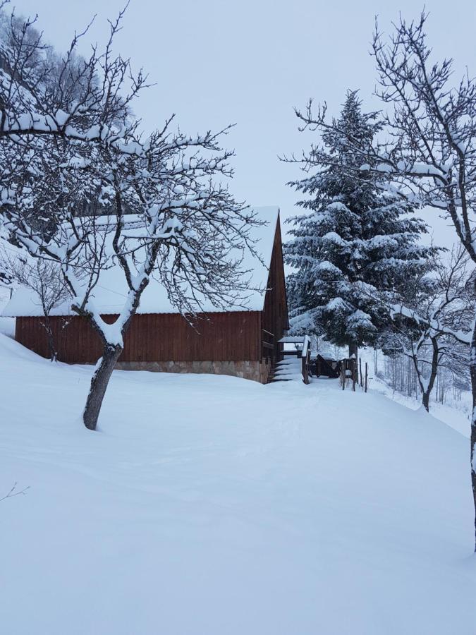 Detached House Milivoje Hotel Poscenje Bagian luar foto