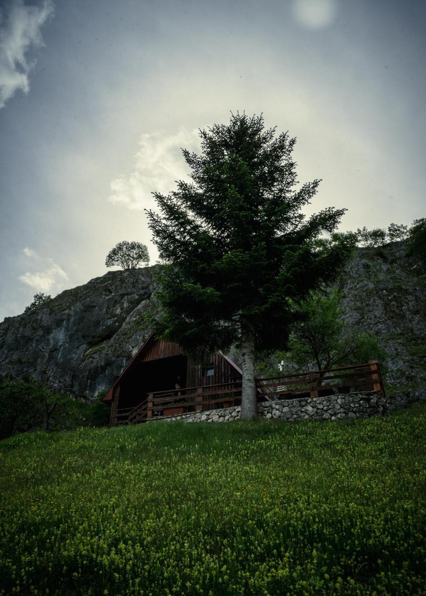 Detached House Milivoje Hotel Poscenje Bagian luar foto